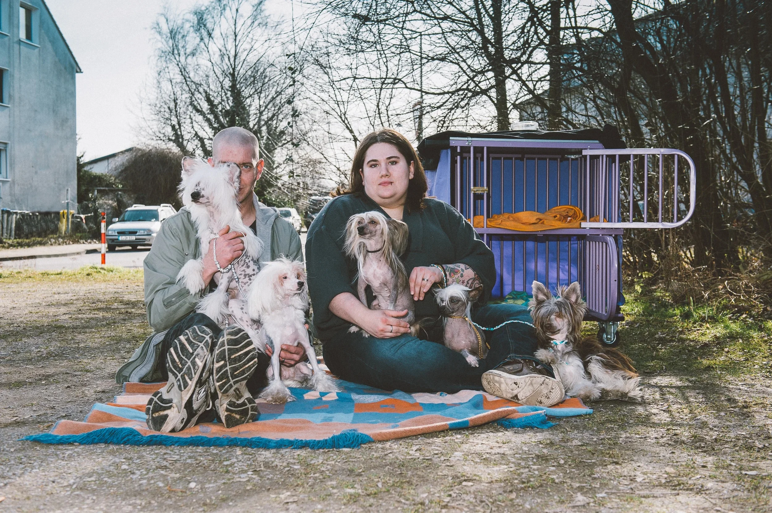 Group portrait of people and their Chinese Crested dogs on a blanket outdoors.